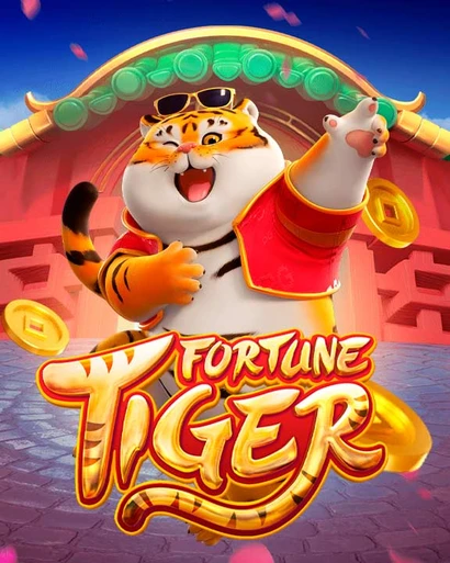q3bet Slots Brasil e Plataforma de Apostas